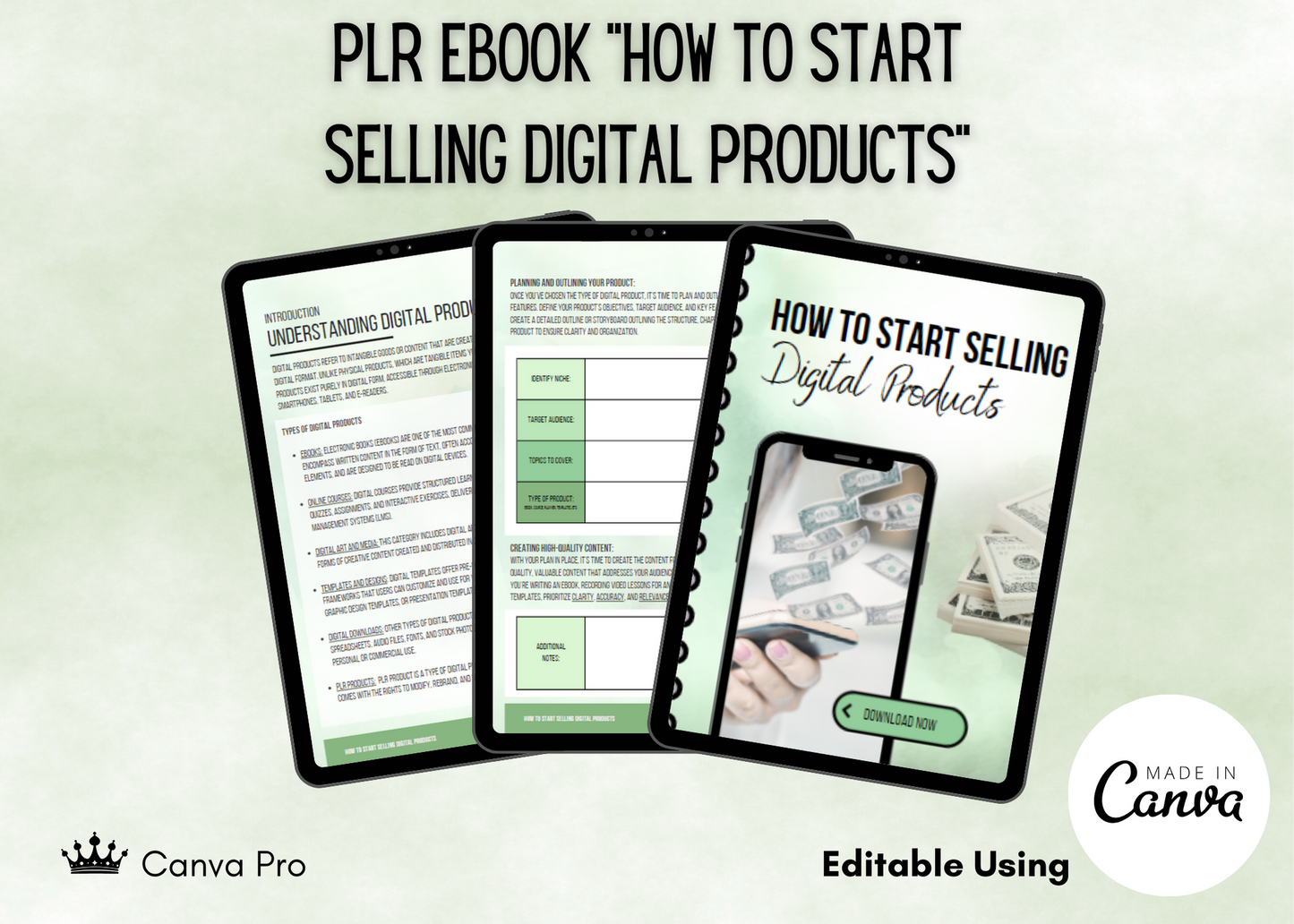 PLR eBook - How To Start Selling Digital Products (Editable)